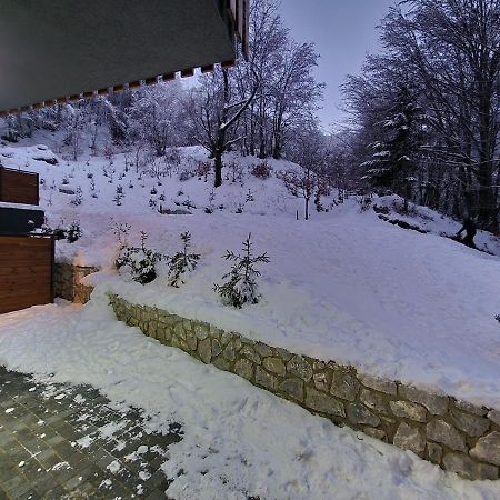 Mavrovo Ski Apartment Kültér fotó